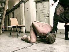 In den arsch, Sadomasochismus, Weibliche domination, Erniedrigung, Milf, Herrin