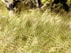 ビーチ, 手コキする, オナニー, 淫乱熟女, 裸, ヌード, ハメ撮り, 公共