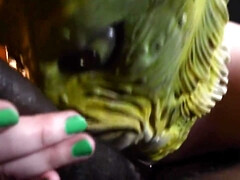 Belle grosse femme bgf, Classique, Hd, Lingerie, Mature, Orgasme, Pov, Nénés