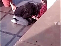 Bruinharig, Hd, Indisch