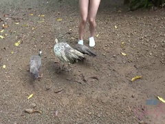 ビーチ, 指いじり, オーガズム, アウトドア, ハメ撮り, 公共, オマンコ, のぞき