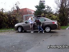 Kompilation, Europäisch, Hd, Erniedrigung, Pissen