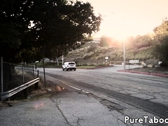 Blond, Pijpbeurt, Hondjeshouding, Europees, Hardcore, Hd, Trio