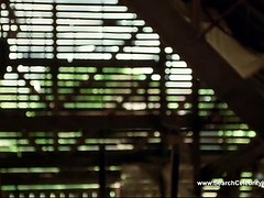 Знаменитости