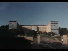 Волосатые