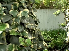 アジア人, フェラチオ, 茶髪の, カップル, ハードコア, 天然, 自然山雀, バイブレーター