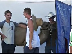 Zichtbare schaamlippen, Compilatie, Fetisj, Grappig, Softcore pornografie