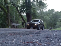 アナル, ボンデージ, ディルド, 電気, 苦痛, お仕置き, 奴隷, バイブレーター