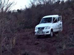 african sex safari threesome orgy