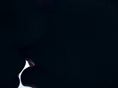 Anaal, Kont, Seksspeelgoed, Vuisten, Hd, Voorbinddildo, Tiener, Speelgoed