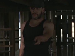 electric shock collar