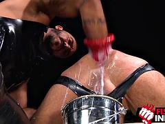 Anal, Lécher le cul, Grosse bite, Sucer une bite, Gode, Pénétrer avec le poing, Homosexuelle, Jouets