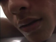 Aziatisch, Bruinharig, Handbeurt, Japaans