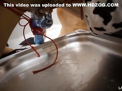 アナル, 緊縛, 茶髪の, 巨乳な, Hd, 乳首, ストッキング, おもちゃ