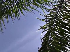 Real 3way teens spunked