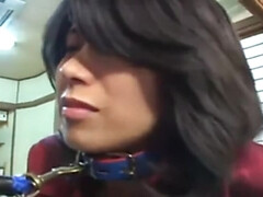 Asiatique, Bondage domination sadisme masochisme, Hard, Japonaise