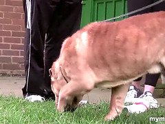 Verga grande, Tetas grandes, Penetracion con dedos, Pajear, Lamidas, Madres para coger, Coño, Tatuaje