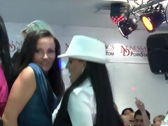 Lieveling, Gek, Erotisch, Handbeurt, Hardcore, Orgie, Feest, Tieten likken