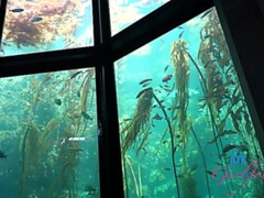 Enthousiasteling, Anaal, Grote kont, Pijpbeurt, Vingeren, Voetbeurt, Vriendin, Kut duiken