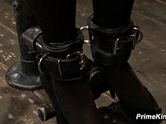 緊縛, ボンデージ, ダブル開発, フェムドム, 開帳, ハードコア, レズビアン, バイブレーター