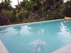 Pleasure In Paradise