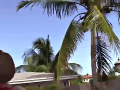 Lieveling, Bruinharig, Tiener