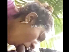 Braunhaarige, Schwanz, Hd, Indisch