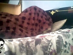 Amateur, Tetas grandes, Corrida, Latina, Mexicano, Coño, Medias largas, Trio