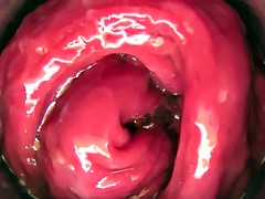 素人, 目瞪口呆, おもちゃ