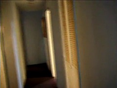 Collège université