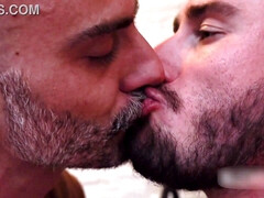 Homosexuelle, Hd