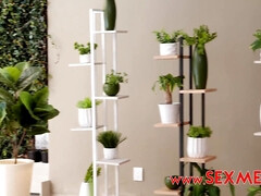 Grosser arsch, Grosse titten, Blondine, Hardcore, Hd, Latina, Milf, Flotter dreier