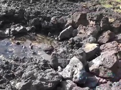 Demi Lopez: A Day at the Nude Beach with You (POV, Amateur)