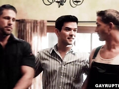 Anaal, Bruinharig, Lul, Homo, Groep, Hardcore, Bekijker