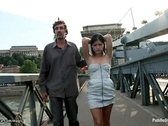 Bruinharig, Hd, Tiener, Tieten likken