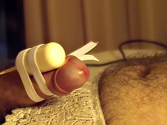 Homo, Vibrator