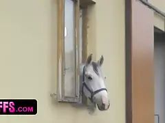 Chica, Mamada, Corridas faciales, Cuadrupleta, Hd, Monstruo, Fiesta, Gritar