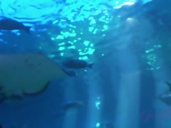 指いじり, 彼女, 毛深い, オーガズム, ハメ撮り, オマンコ, オッパイの, のぞき