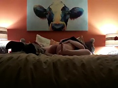 Amateur, Universidad, Cornudo, Esposa