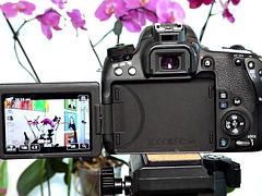 Amateur, Européenne, Hard, Italienne, Lingerie, Professeur, Adolescente