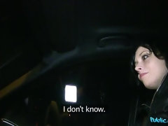 Enthousiasteling, Kont, Auto, Hondjeshouding, Handbeurt, Buiten, Gezichtspunt, Openbaar