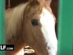 アメリカ人, フェラチオ, 着衣女と全裸男, エロ熟女, イく瞬間, 淫乱熟女, アウトドア, 馬乗り