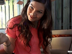 Pijpbeurt, Bruinharig, Auto, Hondjeshouding, Handbeurt, Gezichtspunt, Geschoren, Tiener