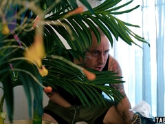 フェラチオ, 巨乳な, チン, ハードコア, オナニー, オマンコ, ガリガリ, オッパイの