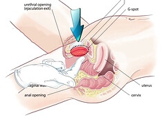 Anal, Belleza, Mamada, Garganta profunda, Penetracion con dedos, Abierta, Masaje, Natural