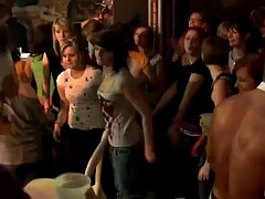 Gruppe, Party
