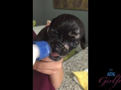 Leie, Grosse titten, Braunhaarige, Freundin, Behaart, Muschi, Titten