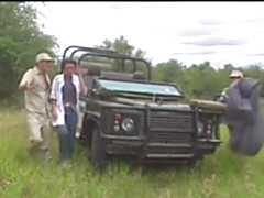 Público, Trio, Clasico