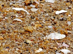 Public No Panties # Flashing On Public Beach