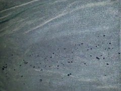 Любители, Сборник, Семяизвержение, Геи, Мастурбация